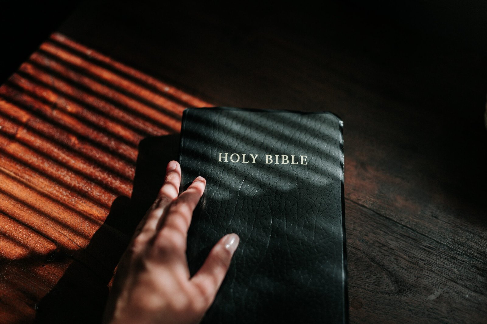 A hand holing a bible